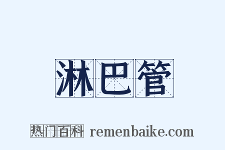淋巴管是什么意思的图片